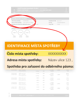 místo spotřeby